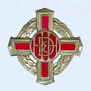 Haslemere and District Nursing Badge