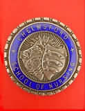 Chelmsford Scool of Nursing Badge