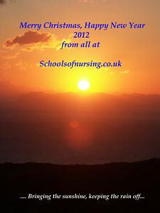 schoolsofnursing.co.uk Christmas Card 2011