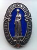 Walsal Hospital Badge